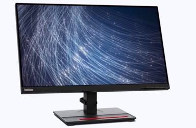 LENOVO Monitor 23,8" ThinkVision T24m-29 63A5GAT6EU, FHD, IPS, USB-C, HDMI, DP, Ethernet, crni